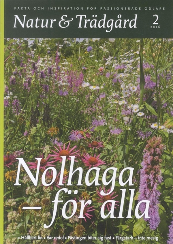 Omslag 2026-06-12
