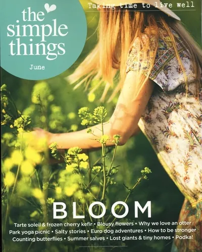 Simple Things (UK), Aktuellt omslag
