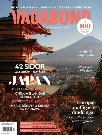 Vagabond